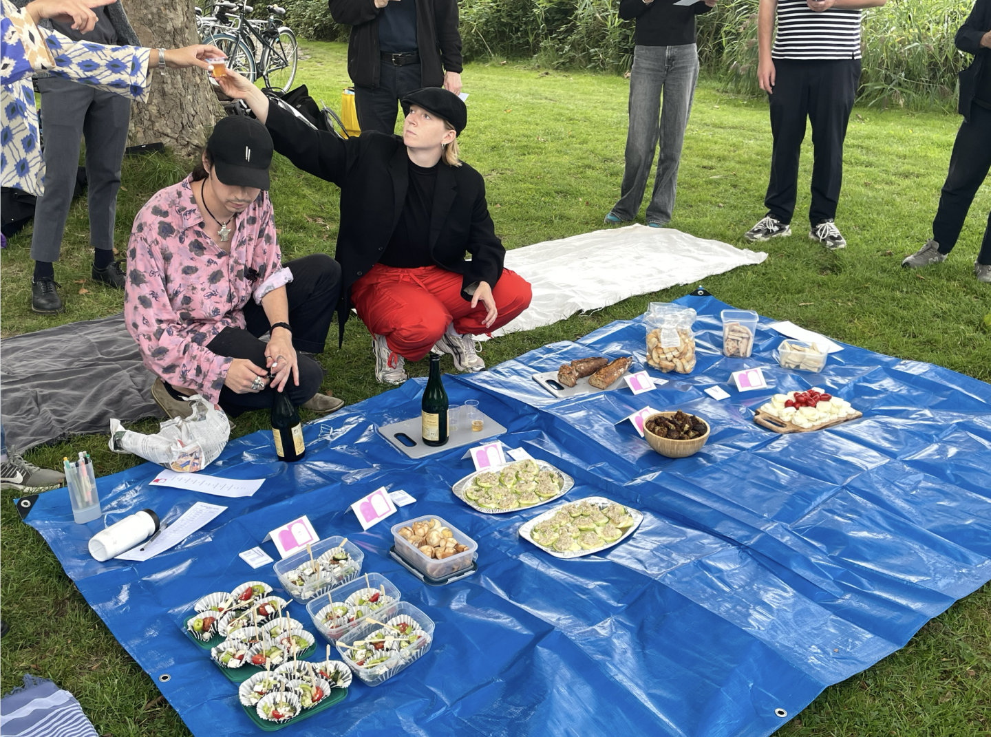 Let's Document a Picnic!